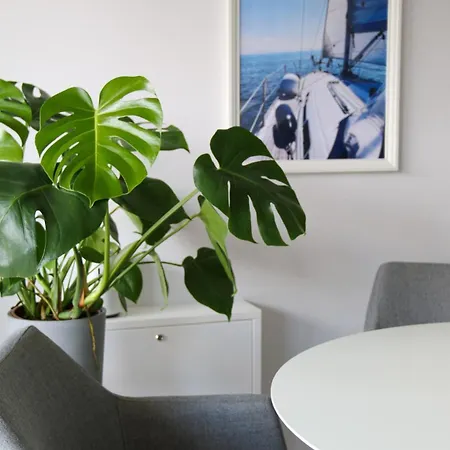 Herzmuschel Apartmán Varel