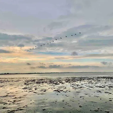 Apartmán Herzmuschel Varel